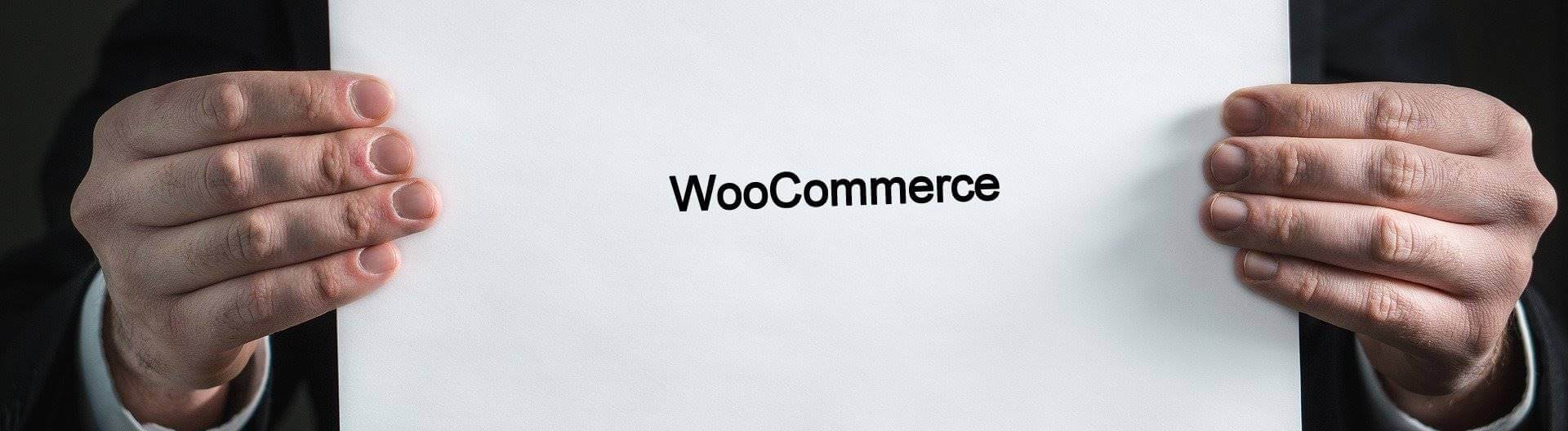 Webdesign Hechthausen Betreiben Sie Ihren Onlineshop mit WordPress und WooCommerce Warum man Woocommerce und WordPress als Basis für einen erfolgreichen Onlineshop benutzen sollte - Webdesign Hechthausen