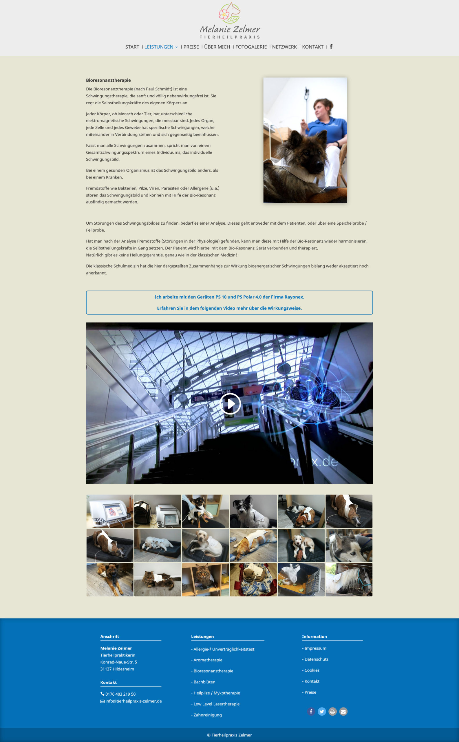 Webdesign Oste Media - Website fuer eine Tierheilpraktikerin